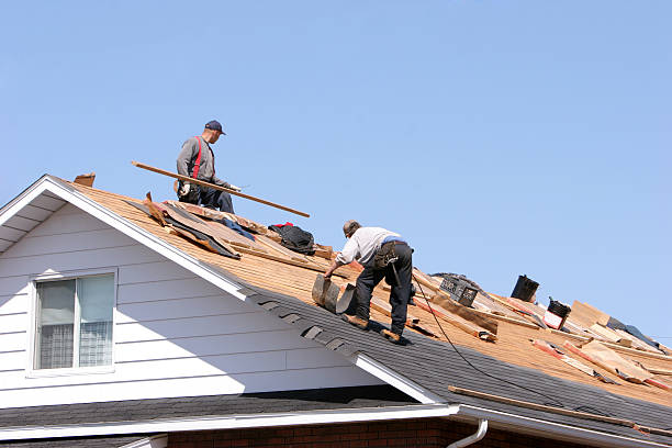 Skylights in Versailles, PA
